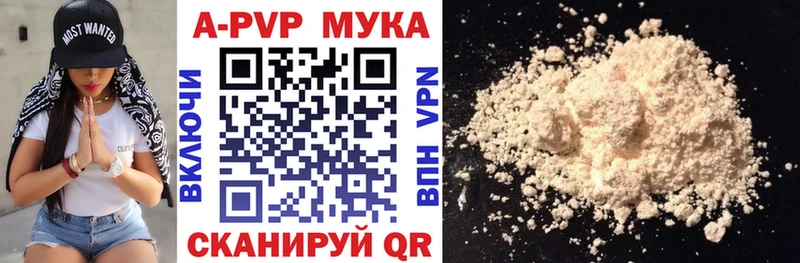 Alfa_PVP СК КРИС Балтийск