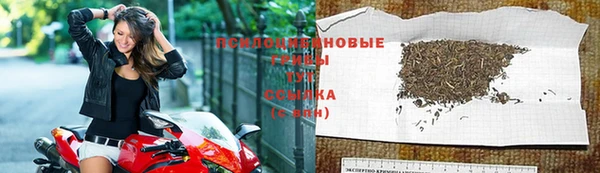 стафф Балахна