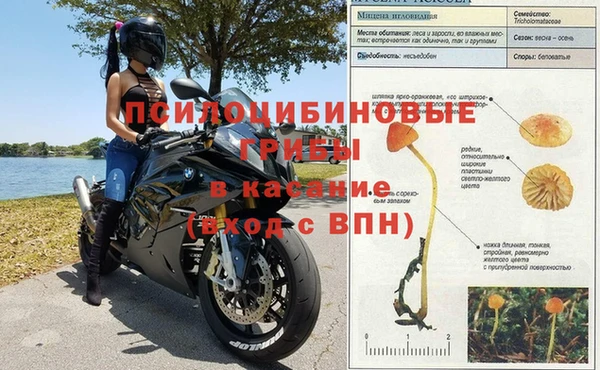 стафф Балахна