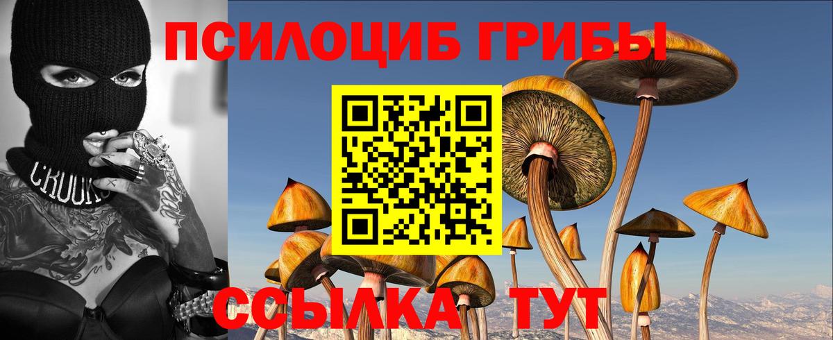 Балтийск  Галлюциногенные грибы GOLDEN TEACHER  Псилоцибиновые грибы прущие грибы  Вход с VPN 