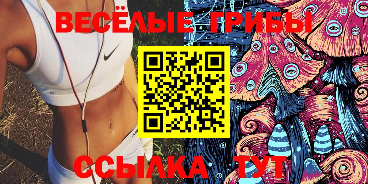 Галлюциногенные грибы ЛСД Балтийск